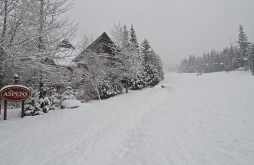 Upper Village Apartamento | Aspens on the Mountain Ski In Out