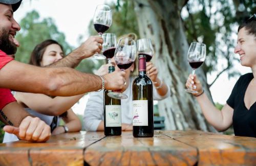 Qatsrin Chalet De Esquí | Assaf Boutique Winery & Cabins