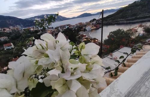 Frourion Apartamento | Assos Caldera
