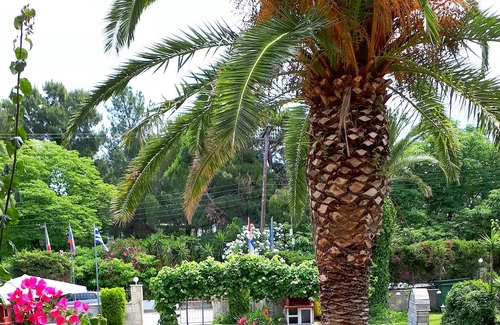 Haniotis Hotel | Asteras Hotel