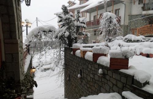 Metsovo Hotel | Asteri Metsovou