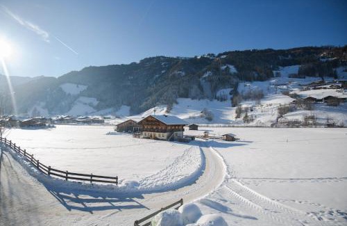 Grossarl Apartamento | Astlhof