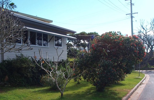 Scotts Head Casa | At The Beach - Relaxing Stay with Ocean Vibes