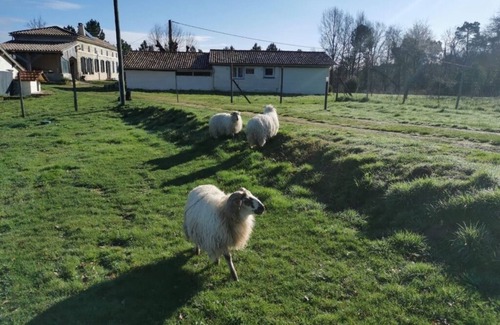 Lagorce Casa | At the heart of the "Ferme de Queyron": quietude and welfare !