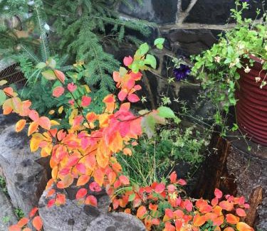 Banff Cama Y Desayuno | At Wits End B&B