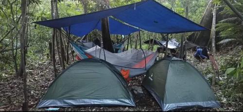 Puerto Narino Casa | Atacuari Salvaje Tours Amazonas