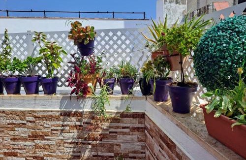 Museo Apartamento | Atico Duplex Marques de Reyes