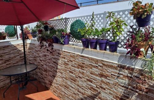 Museo Apartamento | Atico Duplex Marques de Reyes
