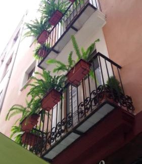 El Pilar Apartamento | Atico En El Centro