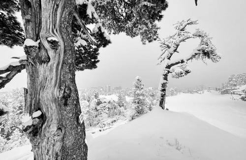 Arette Otro | atipic lodge