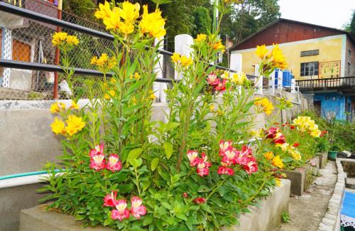 Darjeeling Casa | Atithi inn JHAMBALA HOMESTAY