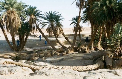 M'Hamid El Ghizlane Otro | Atmospher Bivouac Desert