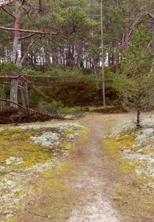 Mersrags Casa | Atpūtasvietapiejūras Kotedža Piekrastē