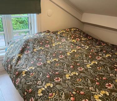 Alingsas Apartamento | Attefallshus Alingsås/Dammen.