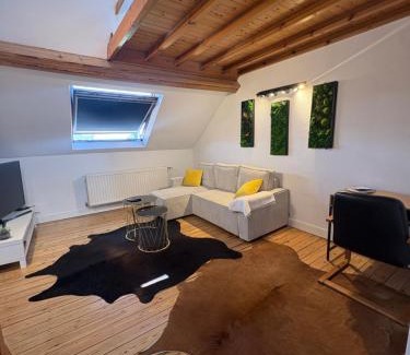 Plasky Apartamento | Attic European Quarter