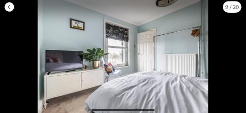 Hastings Casa | Attractive comfortable room in friendly house