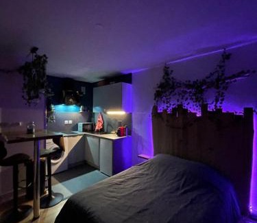 Erstein Apartamento | Au Cosy Studio I proche Europapark