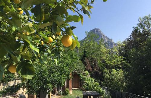 Vence Cama Y Desayuno | Au Pied des Baous