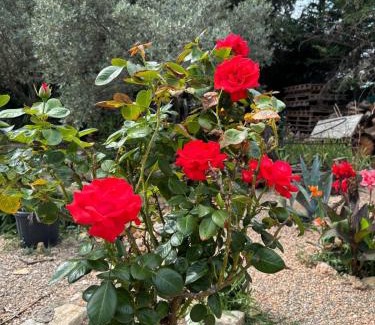Draguignan Casa | Au Sabluline chambres d'hôtes gîtes