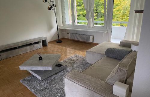 Horgen District Casa | Au Zimmer