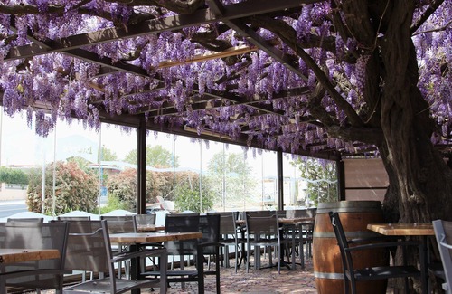 Argeles-sur-Mer Hotel | Auberge du bon vivant