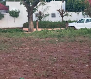 Kati Casa | Auberge Kamalé