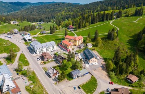 Feldberg Apartamento | Auerhuhn