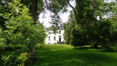 Jamestown Cama Y Desayuno | Augherea House
