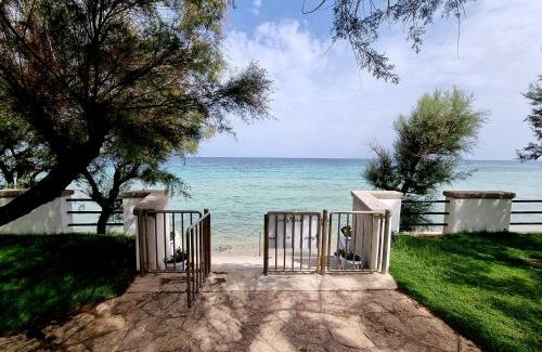 Torre Canne Cama Y Desayuno | Aurelia Sea View