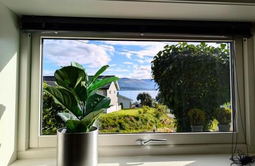 Tromso Casa | Aurora rooms in shared apartment nr1 We are doing privet northen light trip, reindeer trip and sommaroy Fjord trip