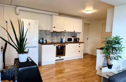 Tromso Casa | Aurora rooms in shared apartment nr1 We are doing privet northen light trip, reindeer trip and sommaroy Fjord trip