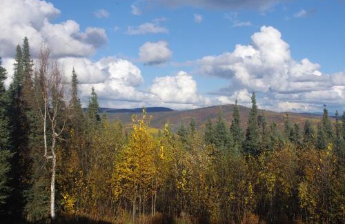 Fairbanks Casa | Aurora Viewing Deck and Peaceful Retreat