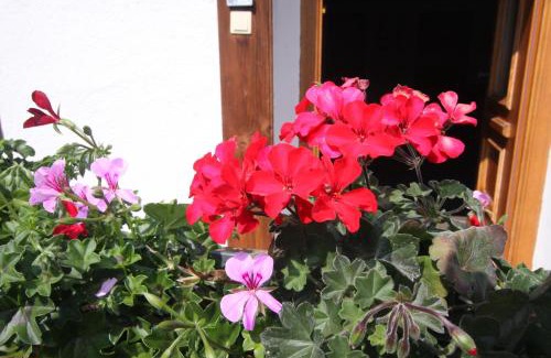 Berwang Apartamento | Ausfernerhof