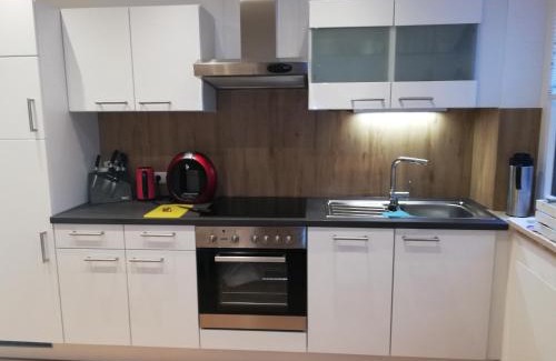Bad Aussee Apartamento | Ausseeerland