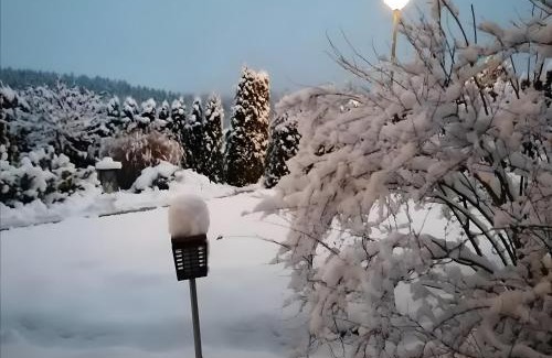 Elleringhausen Apartamento | Auszeit Sauerland