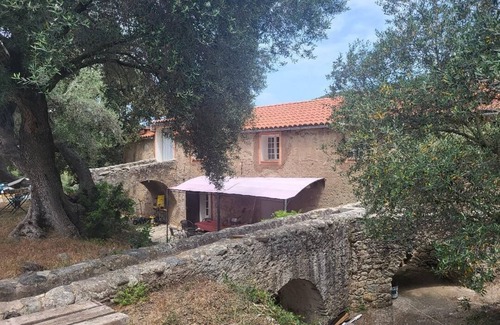 Novella Casa | Authentic 18th-century mill with 120 m² pool in 50-hectare olive grove.