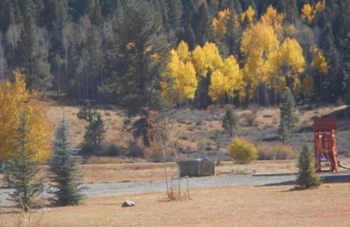 South Fork Cabina | Auténtica Cabina 3BR con Wifi en San Juan Mtns!