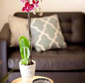 El Pilar Apartamento | Authentic Charming Apartment/Wifi/Air Conditioning