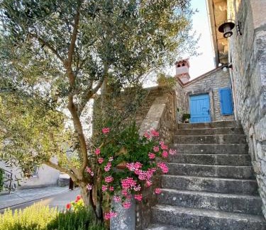 Rojnici Casa | Authentic stone house Miro