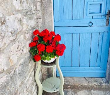 Rojnici Casa | Authentic stone house Miro