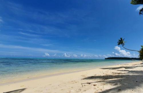 Hauru Apartamento | Auti studio direct access to the beach on Moorea with AC -WiFi - Netflix