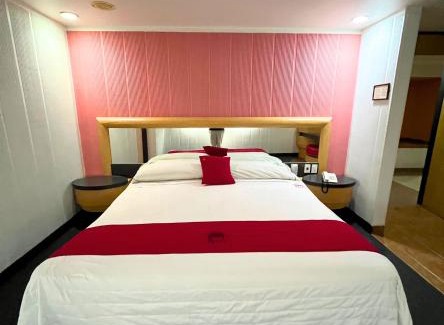 Tlalnepantla de Baz Hotel | Autoparador Del Valle
