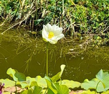 Saint-Leon-sur-Vezere Casa | Aux Iris