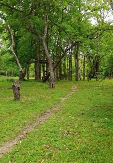 Polonnaruwa Hotel | Avendra Grand