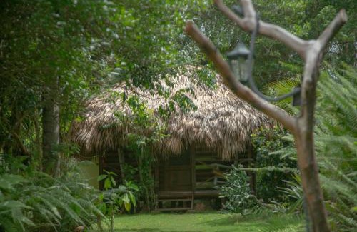 Samana Cama Y Desayuno | Aventura Rincon Ecolodge