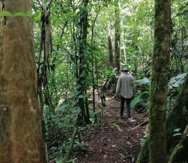 Bijagua Chalet De Esquí | Aves de Tierras Altas