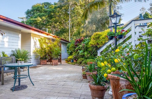 North Tamborine Cama Y Desayuno | Avocado Sunset Bed & Breakfast