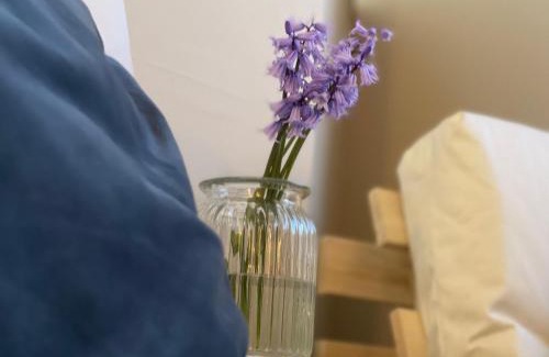 Lytham St. Anne's Apartamento | Avondale, Lytham - Unique and luxury apartment in the heart of Lytham