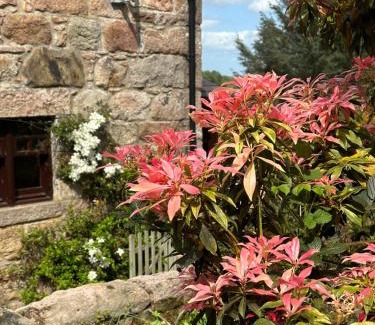 Inverurie Cama Y Desayuno | Awakening Alchemy Retreat Centre