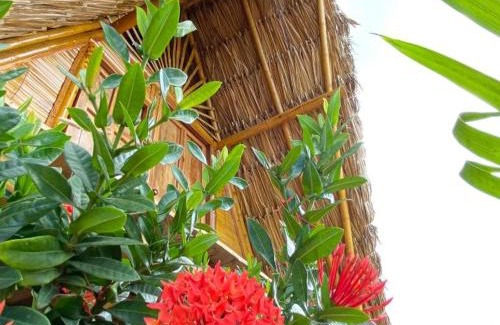 Riohacha Otro | Awala Beach Club
